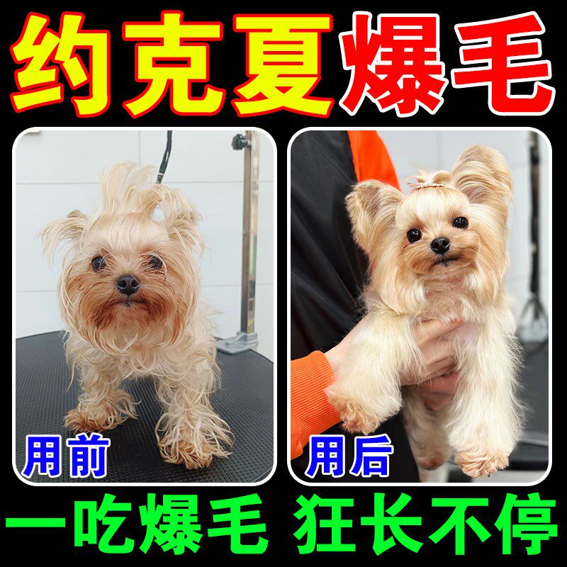 狗掉毛的药爆毛粉增毛剂斑秃毛发稀疏不长毛约克夏快速长毛卵磷脂