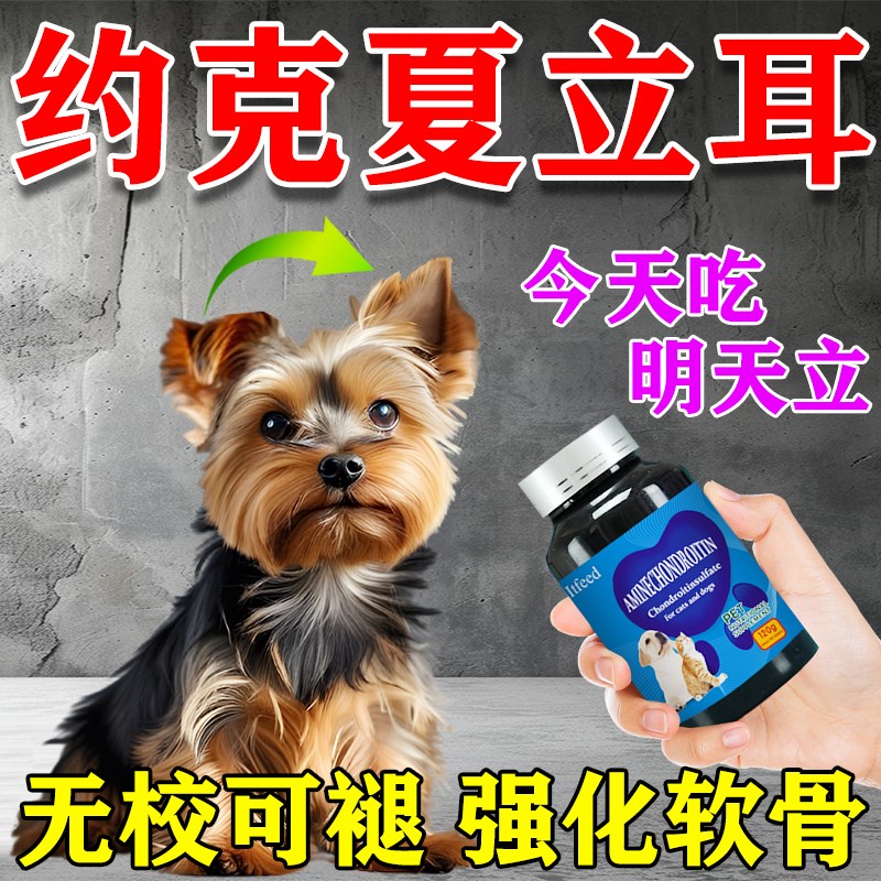 约克夏立耳神器辅助器立耳药贴杜宾马犬德牧昆明黑狼犬软骨素钙片