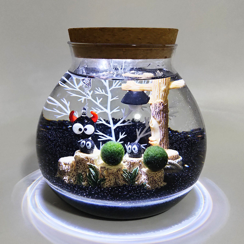 marimo幸福海藻球微景观生态瓶水培迷你小植物创意DIY礼物玻璃瓶
