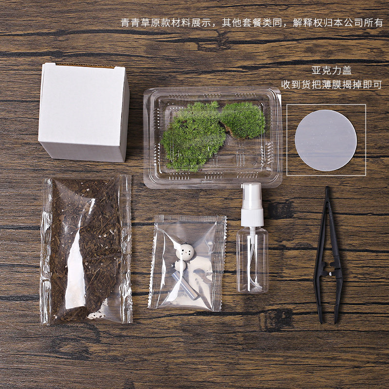 带灯玻璃瓶苔藓微景观套装diy 生态瓶闷养桌面迷你小盆栽创意造景