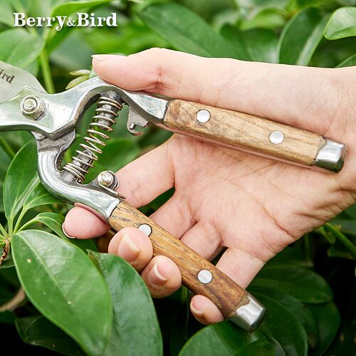 Berry&Bird复古园艺剪刀木柄粗枝花卉盆景修枝剪子省力修剪工具