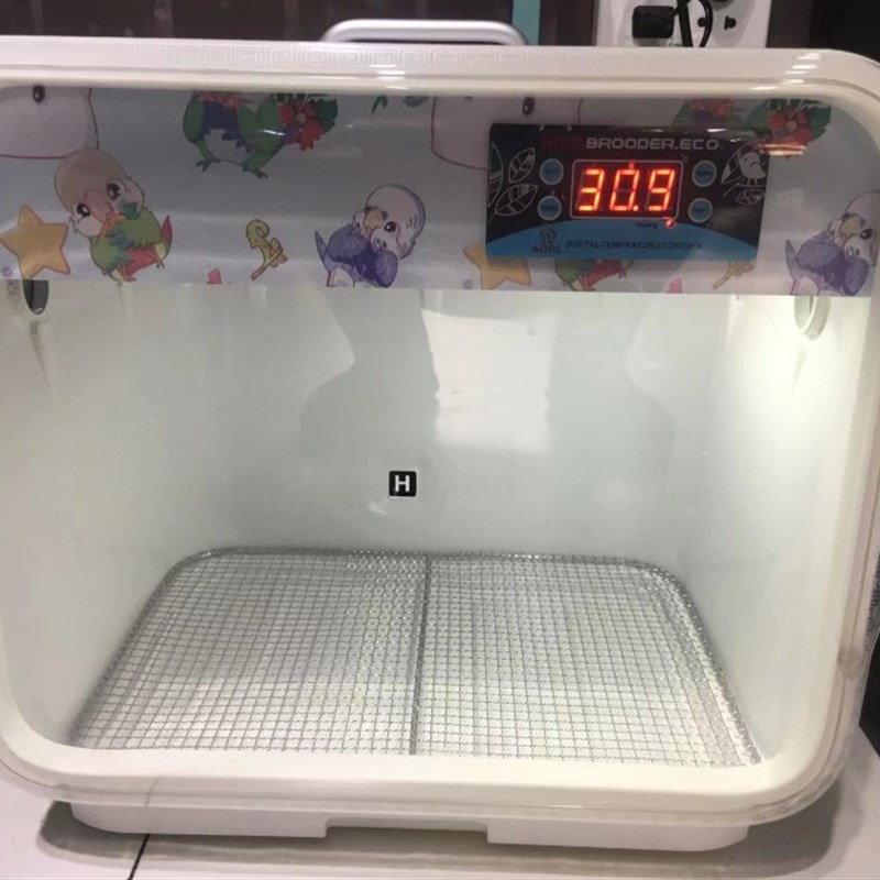 鹦鹉保温箱手养鹦鹉加热恒温保暖箱雏鸟温控风暖智能虎皮牡丹玄凤
