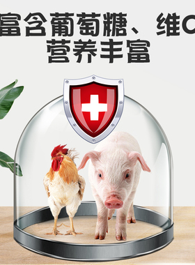 牧品葡萄糖vc粉 兽用猪牛维生素C冰爽抗应激鸡鸭禽饲料添加剂