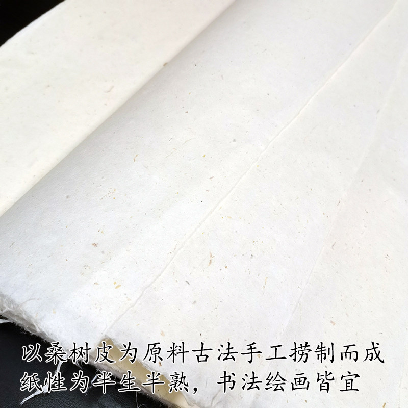 特种皮纸古法桑皮纸纯手工桑树土纸半生熟四六尺书法国画专用宣纸