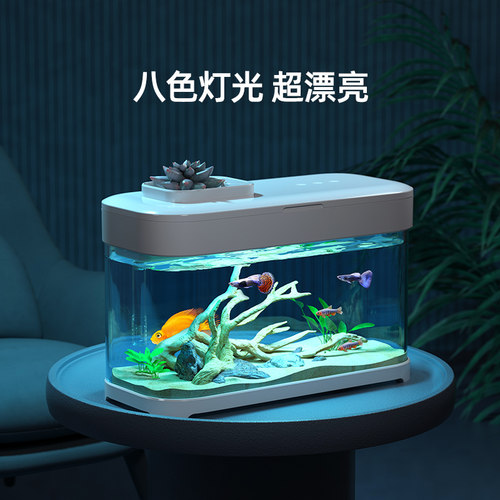 免换水桌面生态鱼缸家用新款小型自循环办公桌小鱼缸生态造景珊瑚