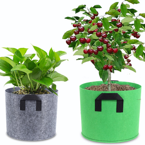 无纺布加厚阳台种植袋绿色灰色植物袋 月季花盆美植袋 特大植树袋