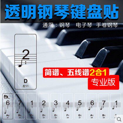 包邮88键专业透明钢琴键贴纸61电子琴键盘手卷钢琴键贴五线谱简谱