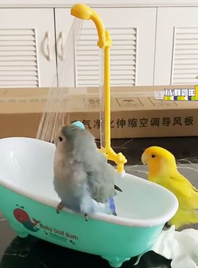 虎皮牡丹玄凤小金太和凯克尚阳鹦鹉夏季电动洗澡沐浴盆玩水玩具盆