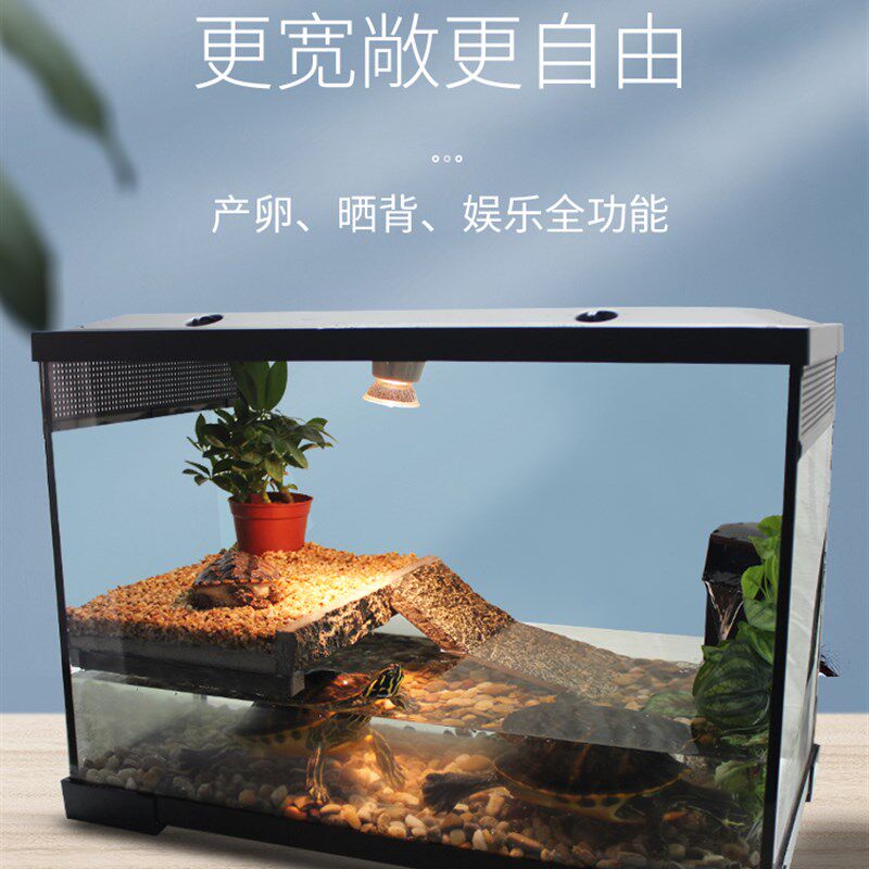 别墅乌龟缸带晒台带过滤鱼龟混养缸免换水龟缸养乌龟专用缸玻璃缸