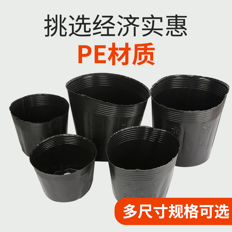 营养钵一次性花盆塑料育苗袋种植穴盆装土神器加厚营养杯育苗杯