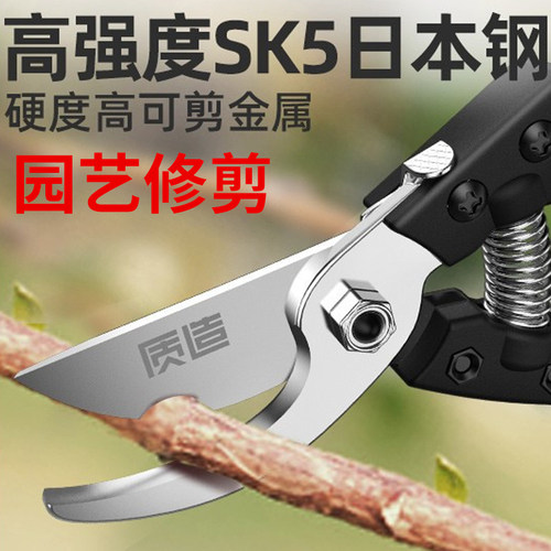园林剪刀修枝剪修花剪园艺剪树枝剪粗枝果树盆景强力花艺打理工具