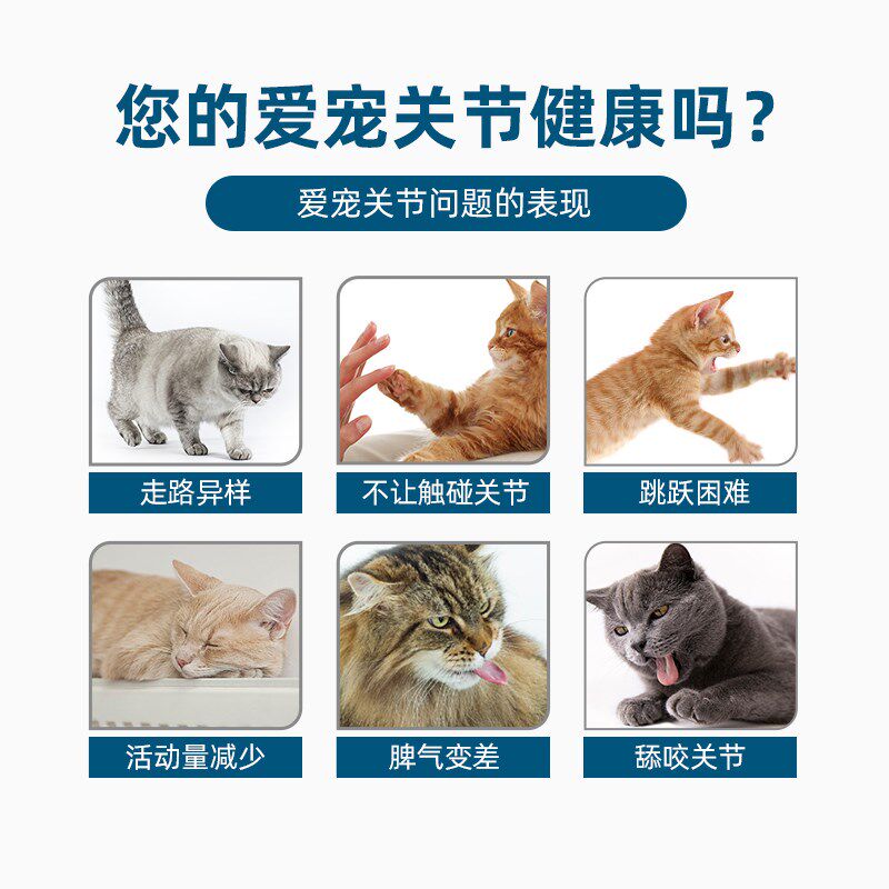 安贝猫关节灵呵护关节成猫布偶暹罗折耳英短美短老年猫软骨素