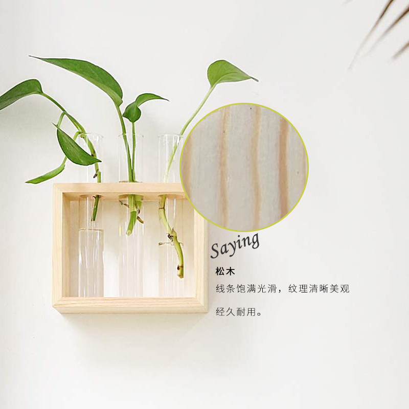 玻璃水培花瓶办公室桌面水养绿萝植物试管花瓶室内实木装饰摆件