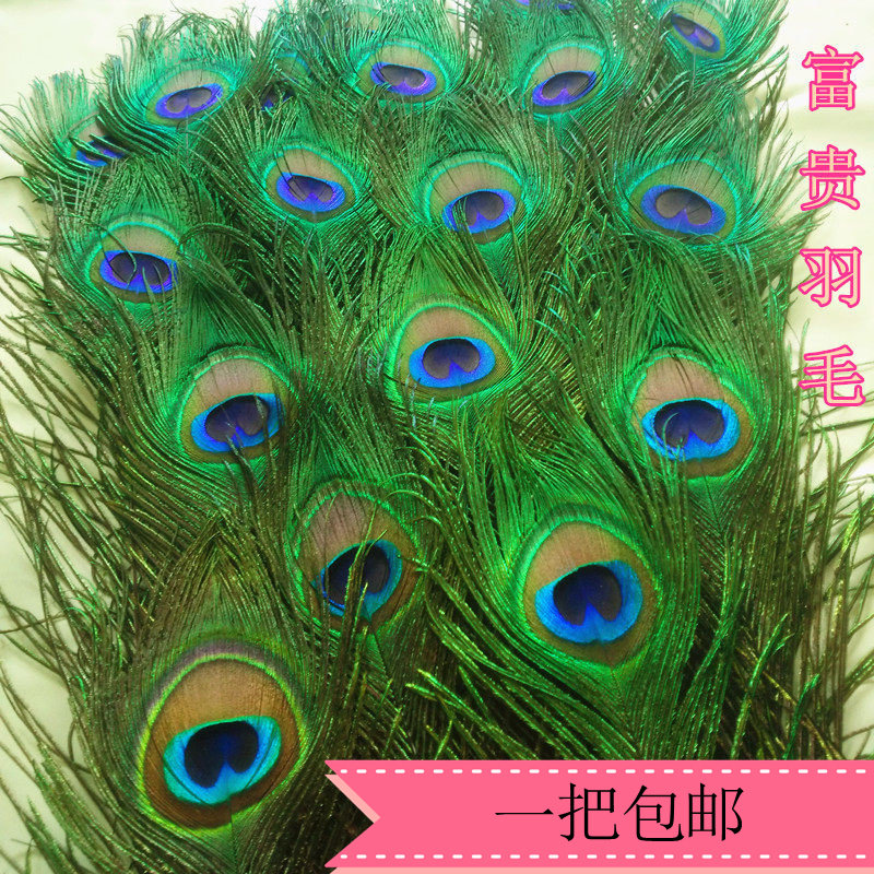 天然新款招财孔雀翎尾 家居饰品真羽毛 孔雀毛花瓶装饰客厅摆件