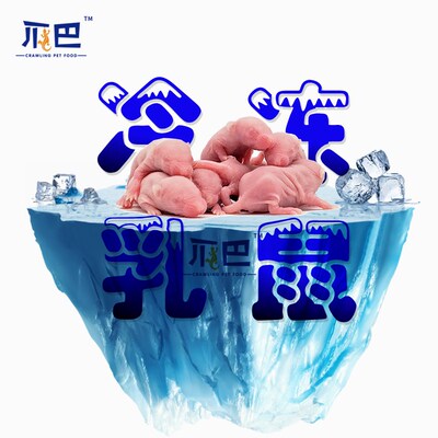 爬宠食物小白乳鼠喂玉米角蛙饲料猫粮红皮粉白霜无菌冷冻耗子