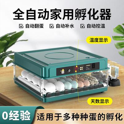 全自动孵蛋器家用 智能泡沫孵化箱暖福宝孵雏设备