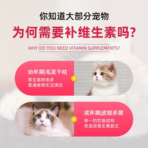 猫咪复合维生素b猫多维防掉毛猫狗营养补充防掉毛猫藓猫草毛片