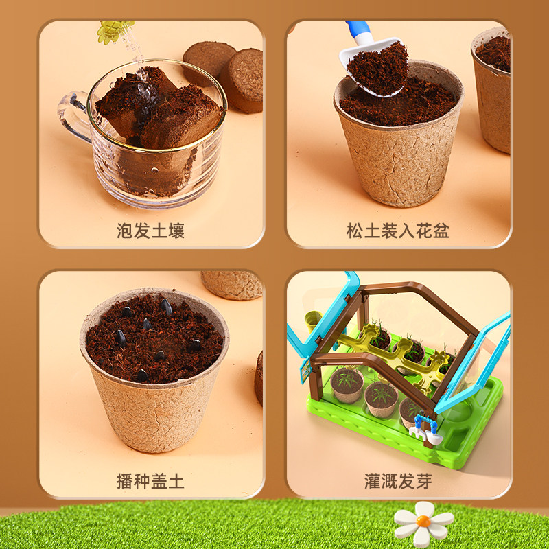 儿童种植迷你小盆栽幼儿园室内观察生长阳光房小农场种菜种花植物