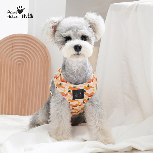 PawsHolic爪迷狗狗牵引绳宠物背心式胸背带中小型犬遛狗绳户外