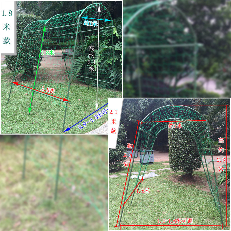 朵维葡萄架花藤架百香果架子火龙果植物攀爬花支架杆固定户外稳固