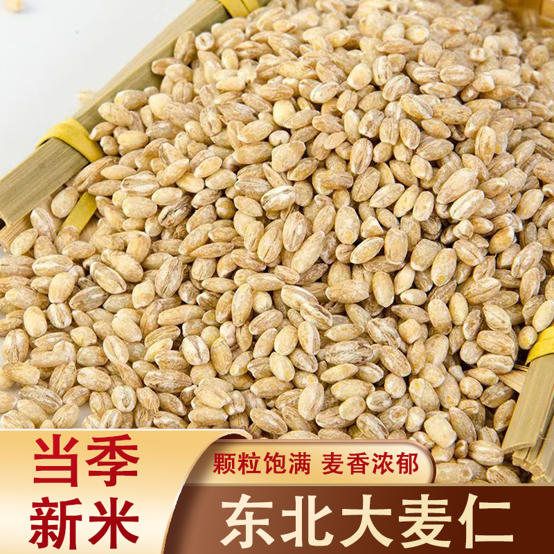 麦仁小麦去皮大麦仁 大麦粒农家脱皮麦仁米杂粮粥