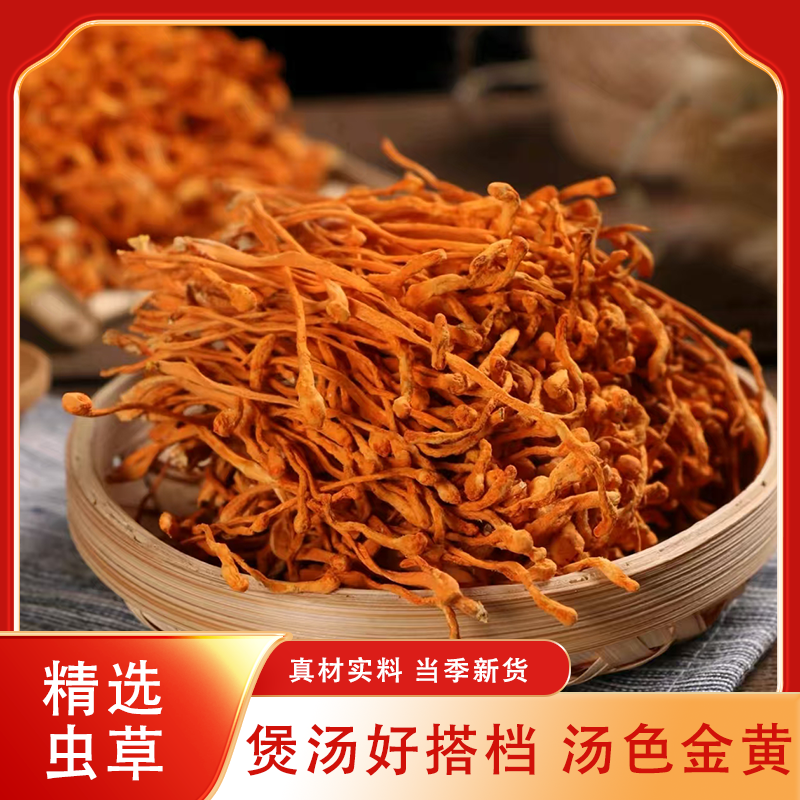 虫草花秋季金菇滋补孢子头蛹虫草炖火锅汤底农家干货特产