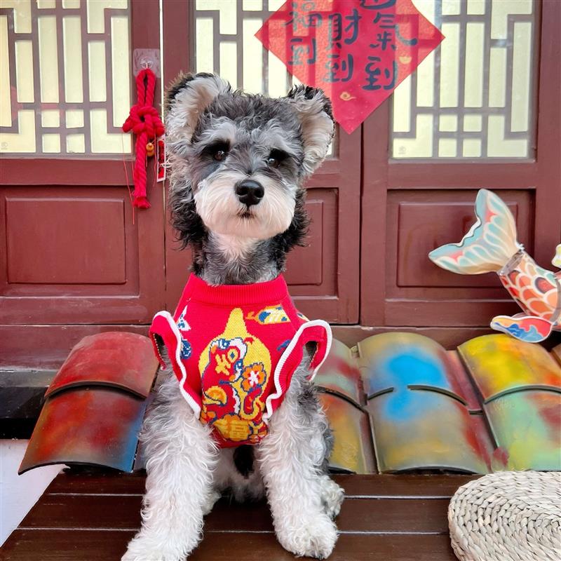 2025蛇年喜庆过年衣服泰迪比熊雪纳瑞猫咪小型犬毛衣小狗过年衣服