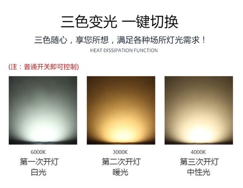 双头筒灯led长方形斗胆灯10*20格栅吊顶开孔8*16公分嵌入式天花灯