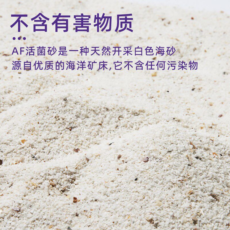 紫色森林海缸活菌沙鱼缸沙子底砂珊瑚沙造景沙海砂专用天然沙