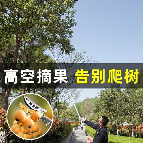摘水果神器修枝剪伸缩杆高空摘枇杷荔枝龙眼采摘器加长剪刀高枝剪