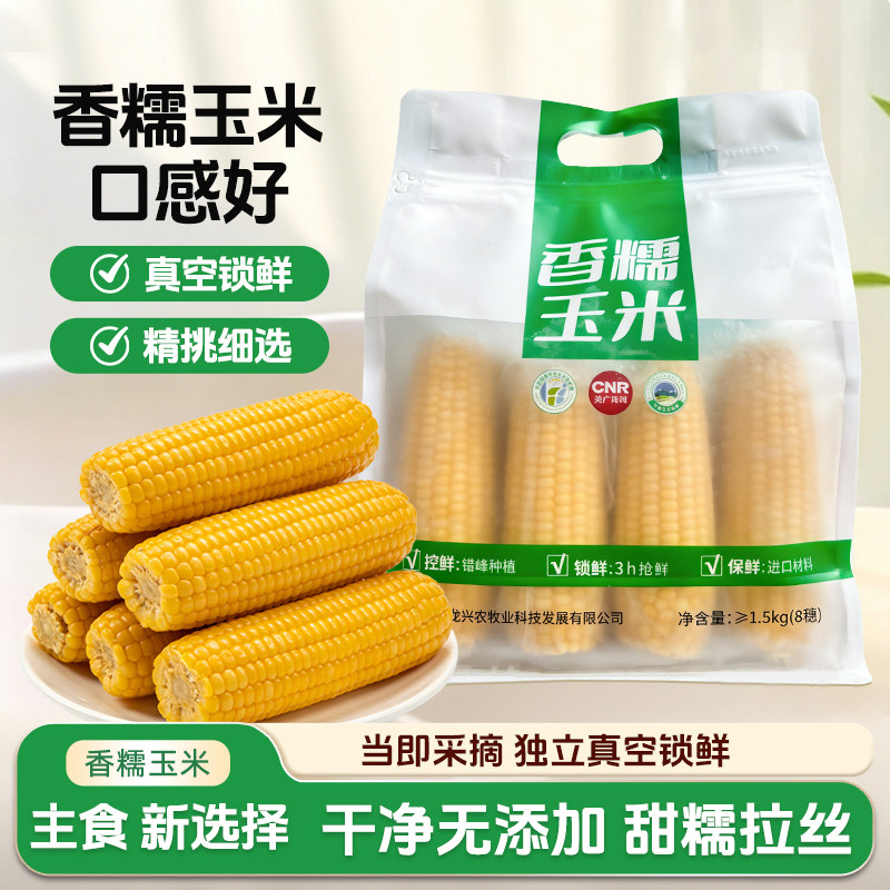 【直播专享】敖汉香糯黄玉米2025新鲜玉米棒真空包装粘糯低脂代餐