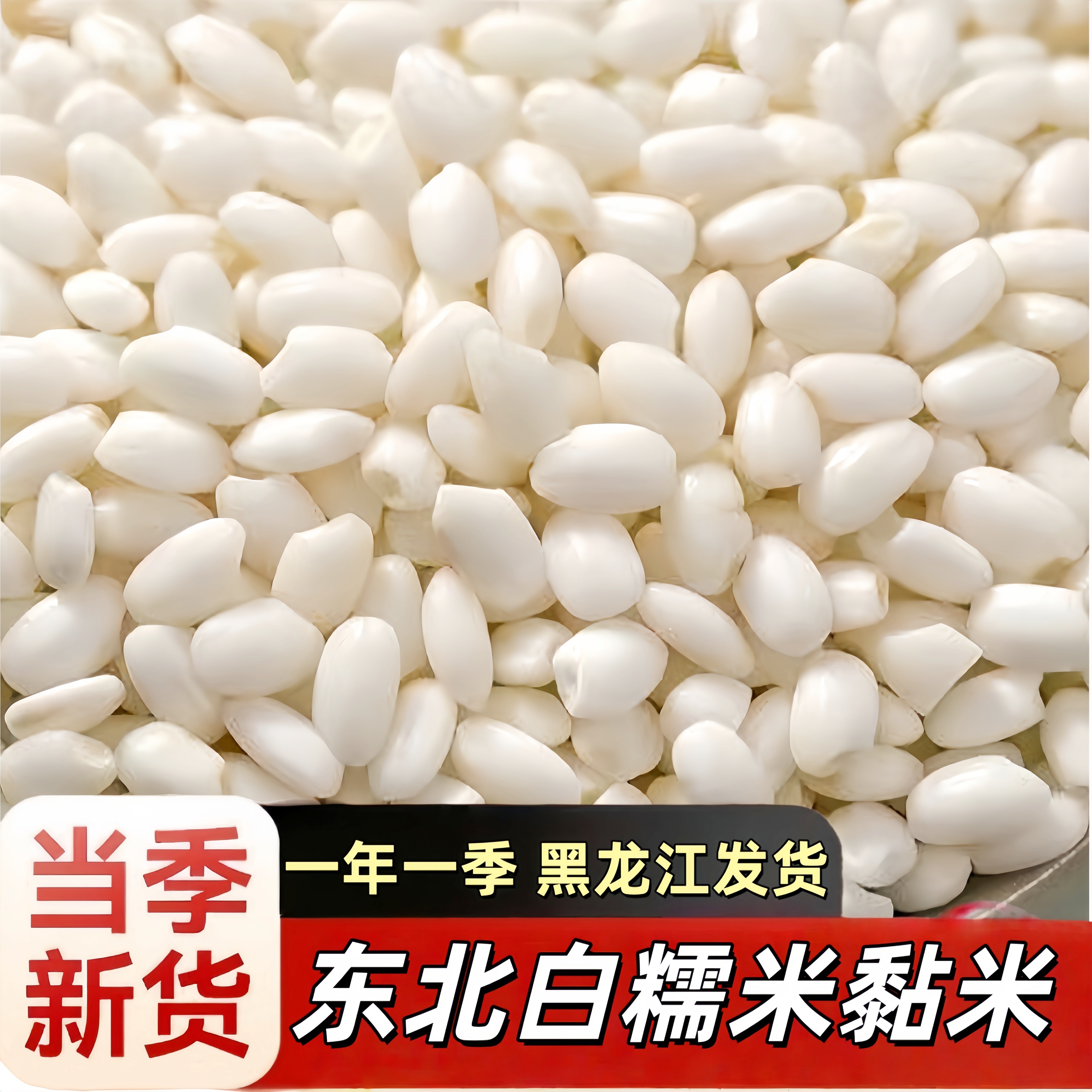 5斤东北圆粒新糯米包粽子酿酒