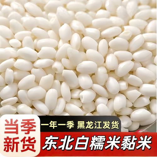 5斤东北圆粒新糯米包粽子酿酒