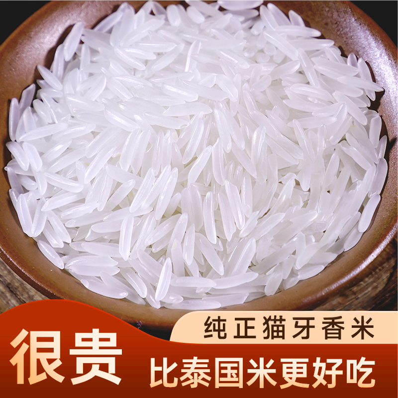 【精品装】正宗一级长粒猫牙米当季新米细长大米长款晚稻长粒米香