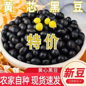【5斤新货】黄芯黑豆农家自种黄心小黑豆打豆浆专用食用杂粮乌豆
