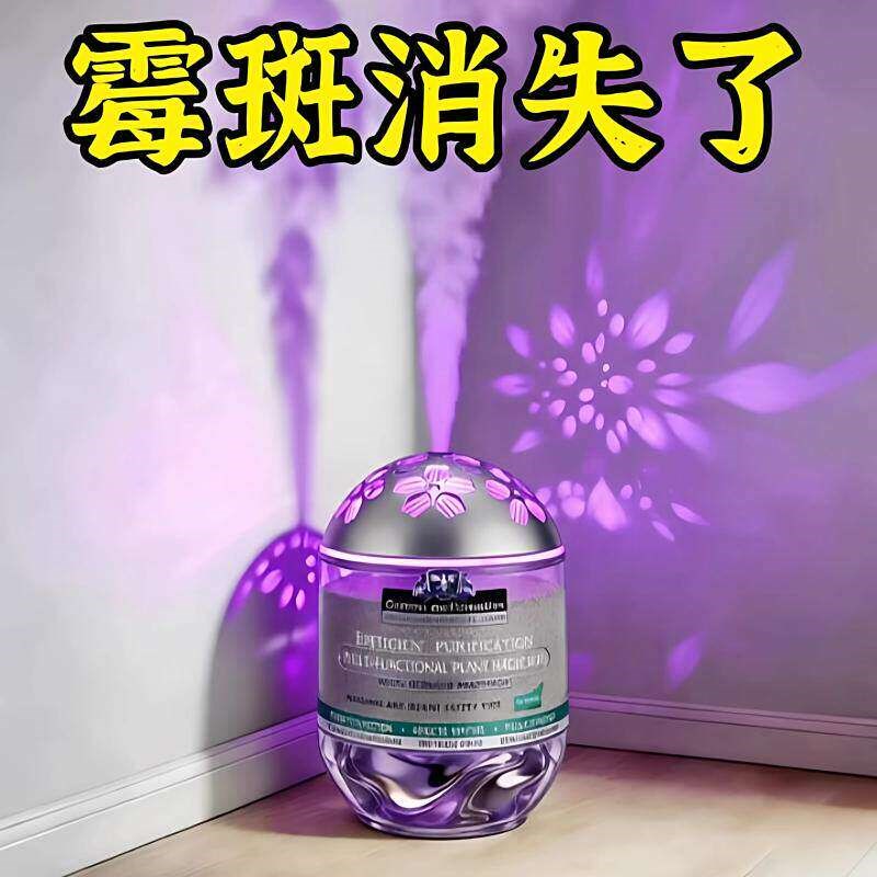 【除霉天花板】一次除霉墙体面轻松告别霉菌困扰墙壁再不怕发霉