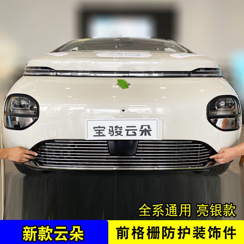 宝骏云朵中网外观改装防虫网装饰前脸格栅保险杠汽车用品防护配件
