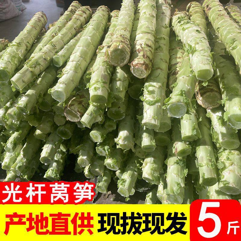 云南莴笋杆子新鲜蔬菜当季农家自种露天香青笋绿心莴苣现摘现发