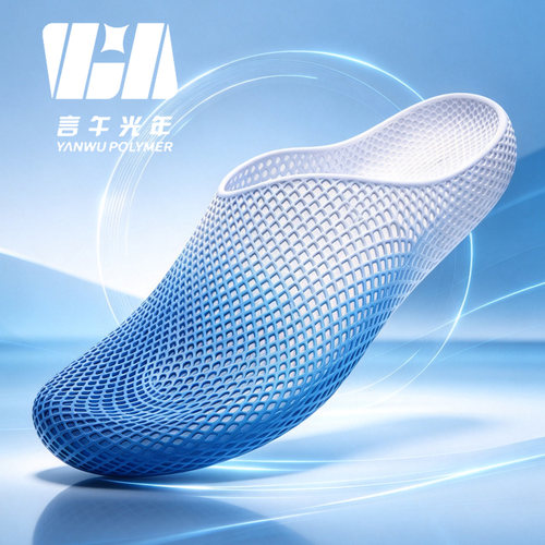 言午3D打印包头拖YANWUPOLYMER