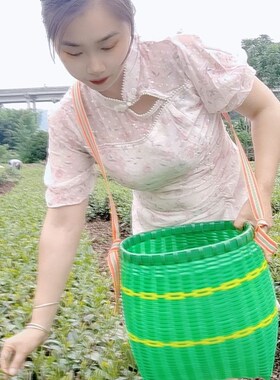 塑钢带编织采茶篓非竹篓采茶叶篮子农用采摘杨梅蘑菇斜挎腰边鱼篓