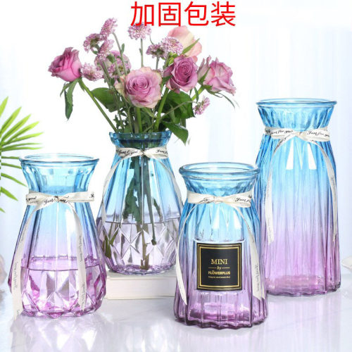 北欧创意透明玻璃花瓶水培绿萝植物干花鲜花插花瓶客厅装饰摆件