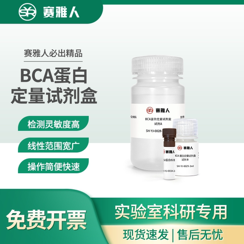 赛亚人BCA试剂盒蛋白定量检测