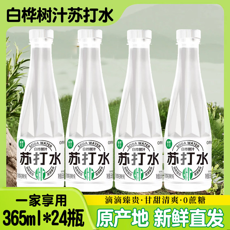 白桦树汁苏打水0蔗糖低脂饮料