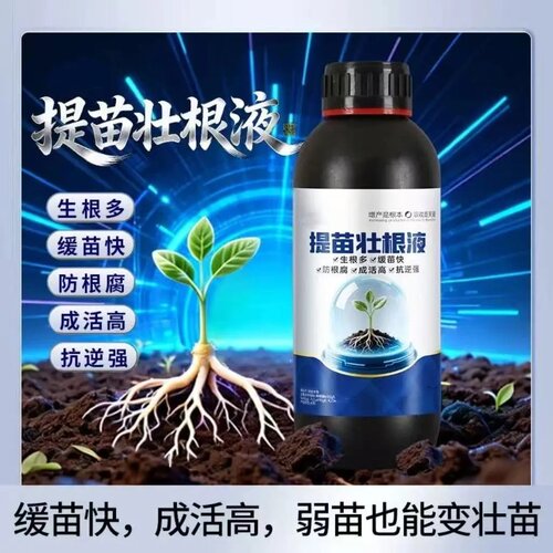 提苗壮根液促根提抗必备育苗移栽定植根多苗壮成活高生根壮苗控旺