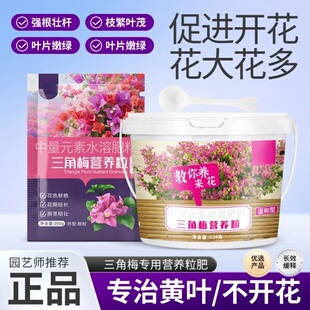 茂森活三角梅专用营养粒肥中量元素水溶肥料促花促芽爆花颗粒缓释