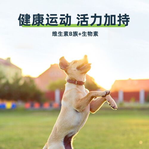 宠物大本营猫咪维生素b防掉毛狗狗营养补充宠物猫用复合维生素片
