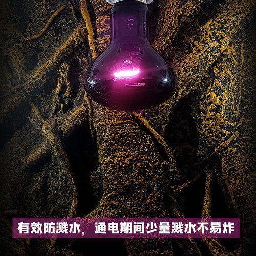 爬虫UVA夜灯爬宠箱蜥蜴陆龟寄居蟹晒背鹦鹉鸟灯夜间保温加热日灯