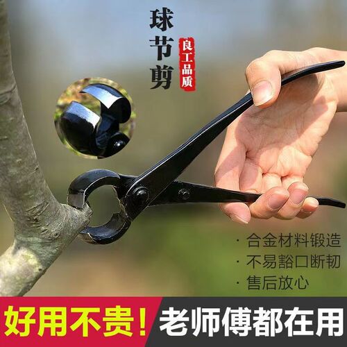 盆景球钳球节剪盆栽树瘤修枝剪园艺制作球形修剪神器一整套造型