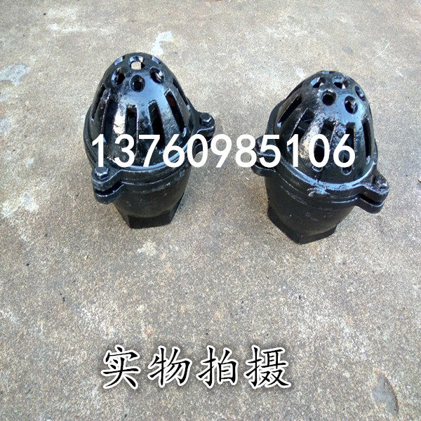 H12X铸铁丝扣底阀 螺纹底阀 水泵头 水泵花篮水泵止回阀