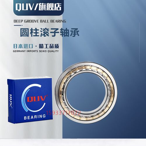 进口高速圆柱滚子轴承NJ NU NF N NUP207 208 209 210 211EM EW E